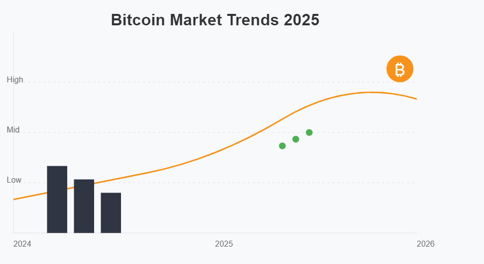 Bitcoin Market Analysis – January 2025